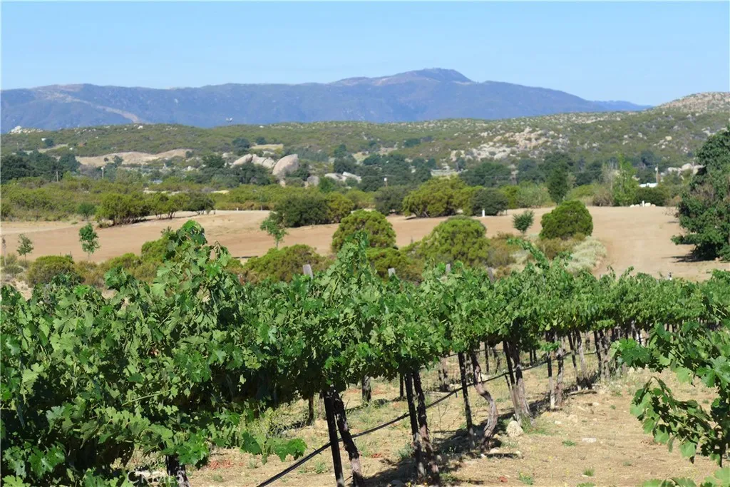 29972 Chihuahua Valley Road, Warner Springs, California 92086 home-pic-31