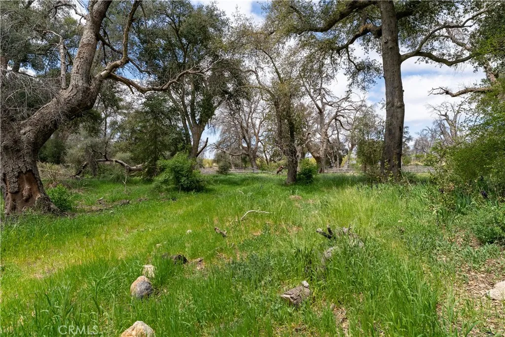 29972 Chihuahua Valley Road, Warner Springs, California 92086 home-pic-2