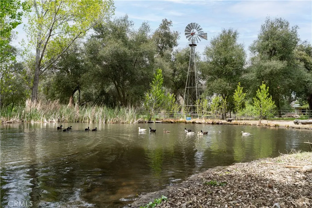 29972 Chihuahua Valley Road, Warner Springs, California 92086 home-pic-18