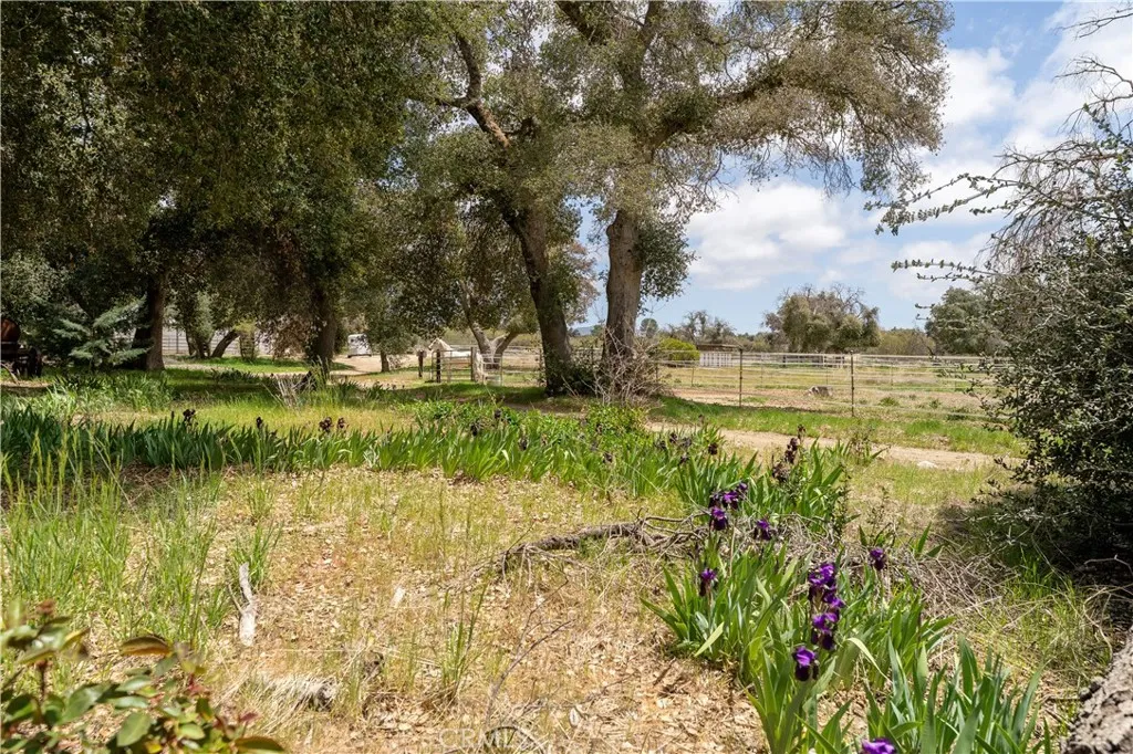 29972 Chihuahua Valley Road, Warner Springs, California 92086 home-pic-21
