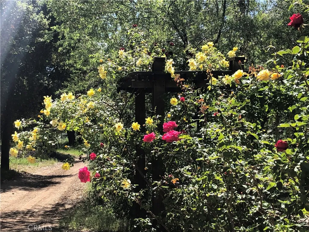 29972 Chihuahua Valley Road, Warner Springs, California 92086 home-pic-12