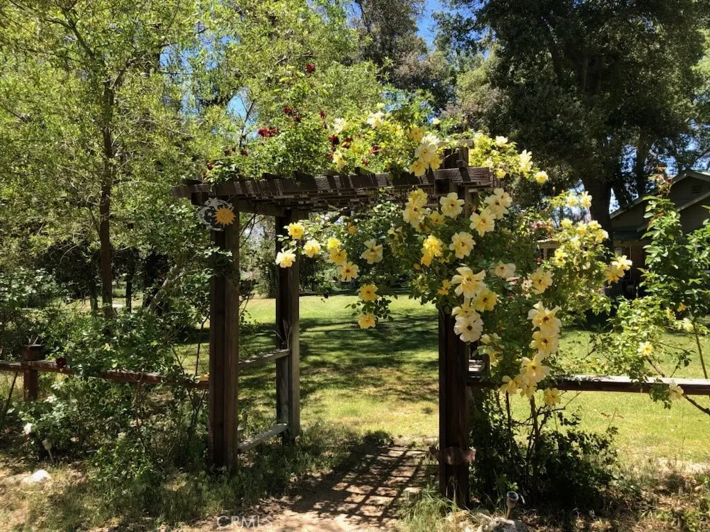 29972 Chihuahua Valley Road, Warner Springs, California 92086 home-pic-3