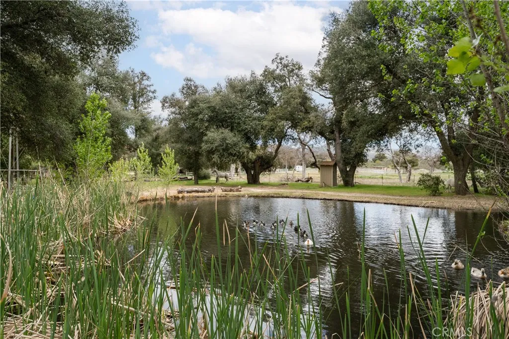 29972 Chihuahua Valley Road, Warner Springs, California 92086 home-pic-16