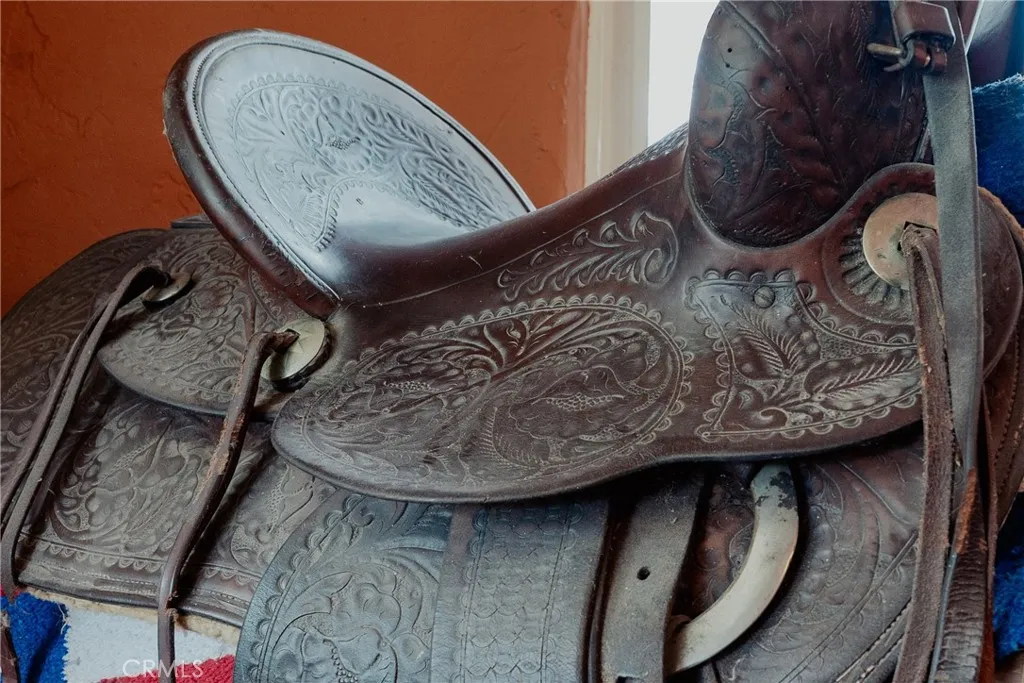 29972 Chihuahua Valley Road, Warner Springs, California 92086 home-pic-27