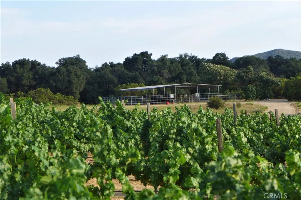 29972 Chihuahua Valley Road, Warner Springs, California 92086 home-pic-34