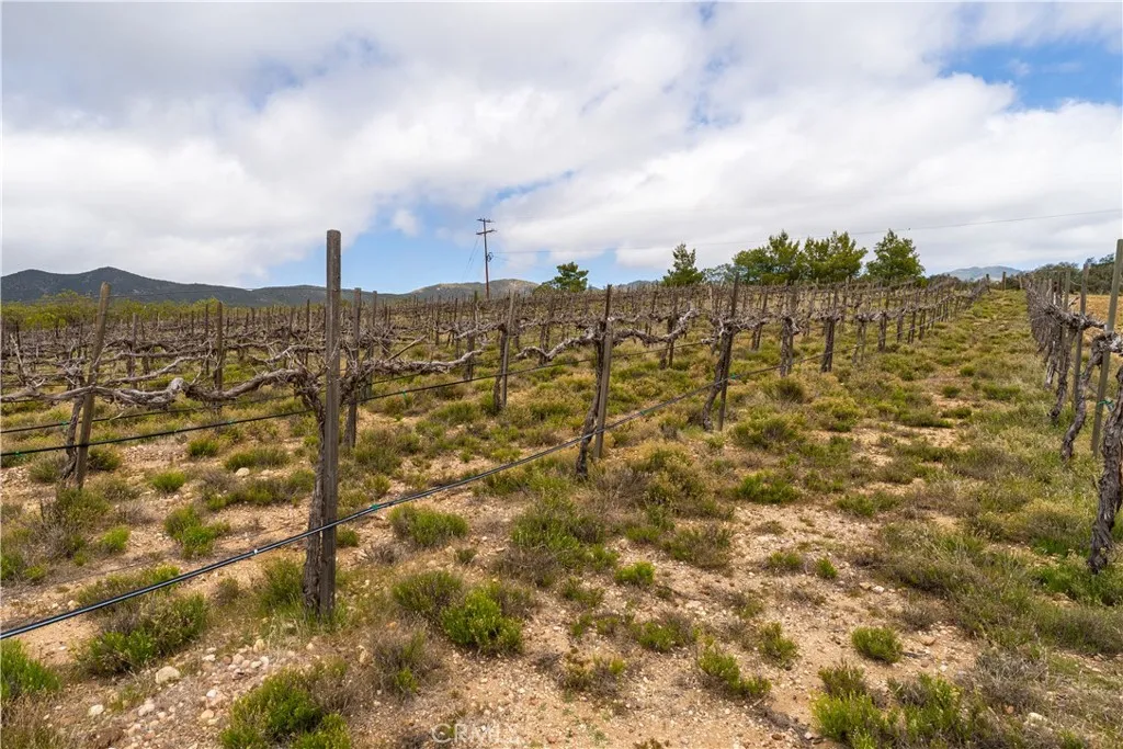 29972 Chihuahua Valley Road, Warner Springs, California 92086 home-pic-29