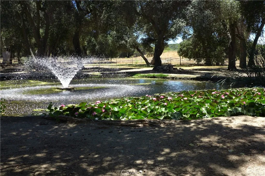 29972 Chihuahua Valley Road, Warner Springs, California 92086 home-pic-19