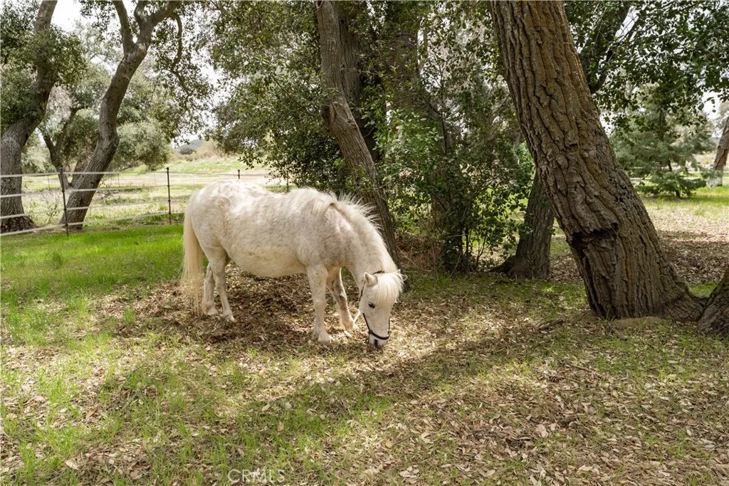 29972 Chihuahua Valley Road, Warner Springs, California 92086 home-pic-15