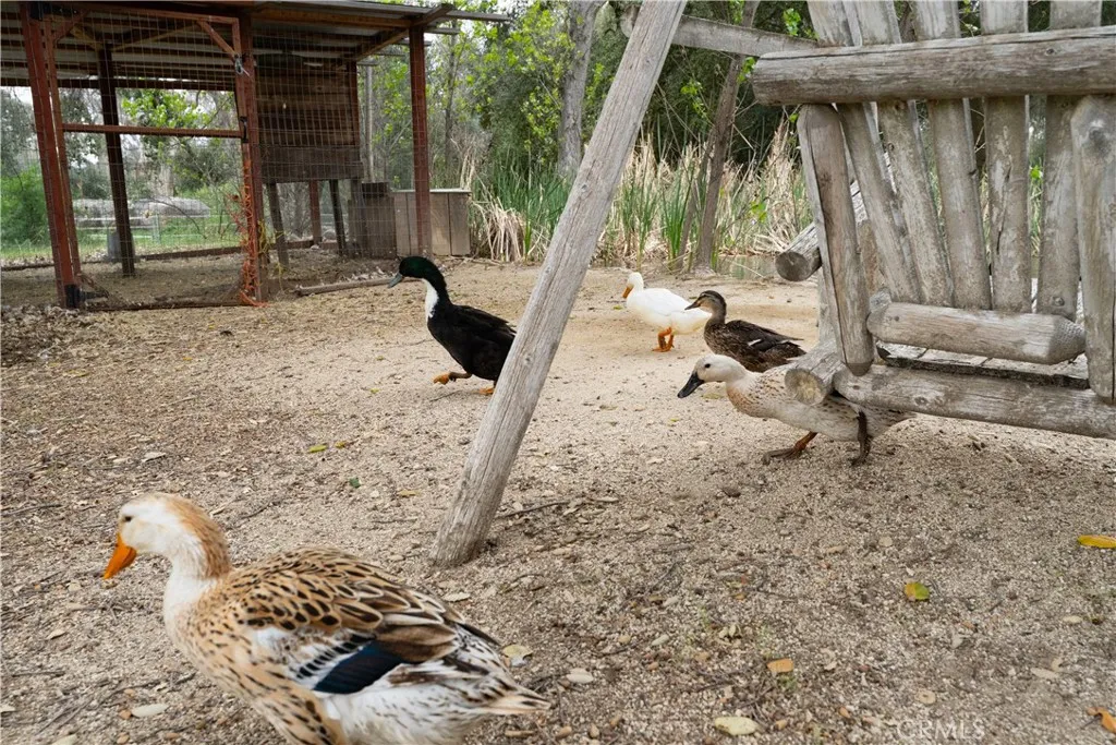 29972 Chihuahua Valley Road, Warner Springs, California 92086 home-pic-20