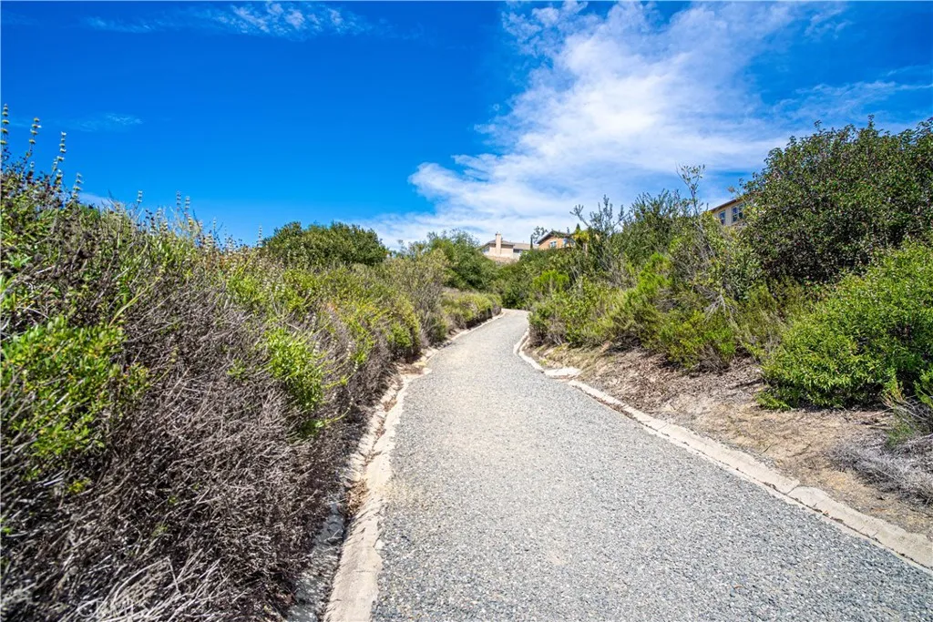 2877 Muir Trail Drive, Fullerton, California 92833 home-pic-62