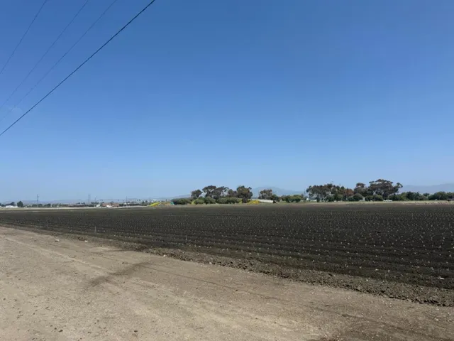 1202 Castroville Road, Salinas, California 93907 — photo 5