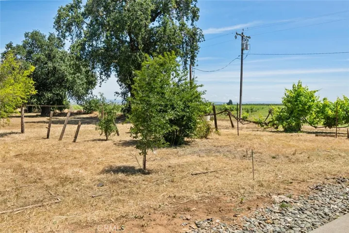 10508 Fimple Road, Chico, California 95928