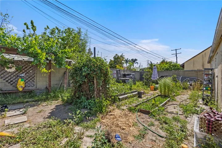 Garden Behind Garage
