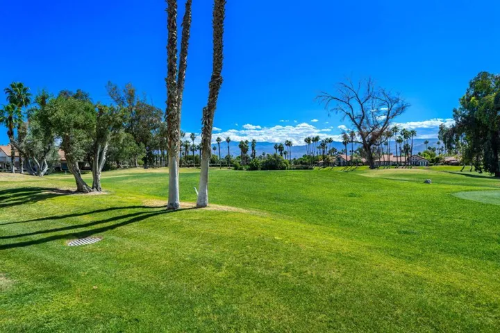 27-web-or-mls-CBDesertFalls_OPMG_0525_02