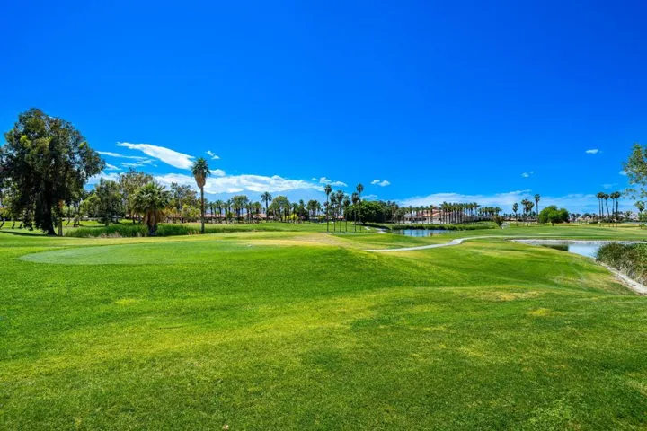 26-web-or-mls-CBDesertFalls_OPMG_0525_01