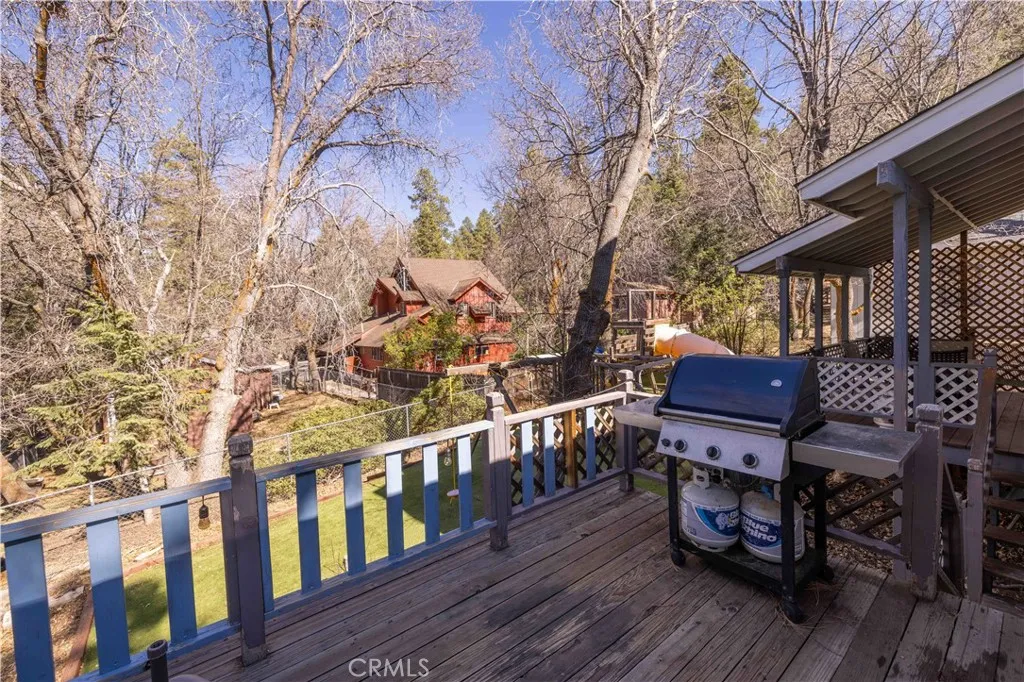 863 Ford Lane, Big Bear Lake, California 92315 home-pic-17