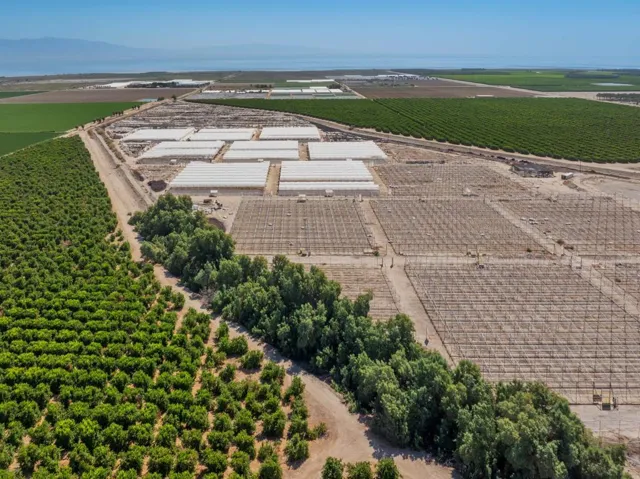71.01 AC Mecca Ag-5
