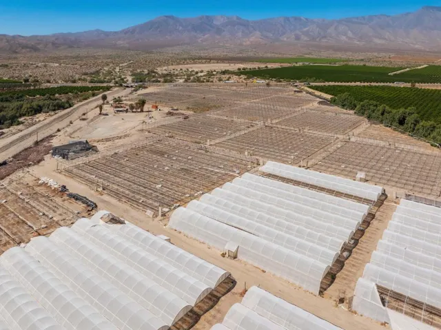71.01 AC Mecca Ag-9