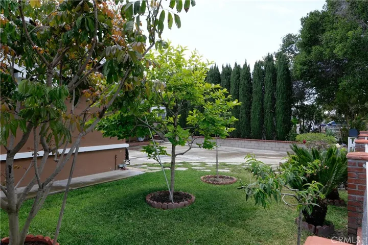 front landscape