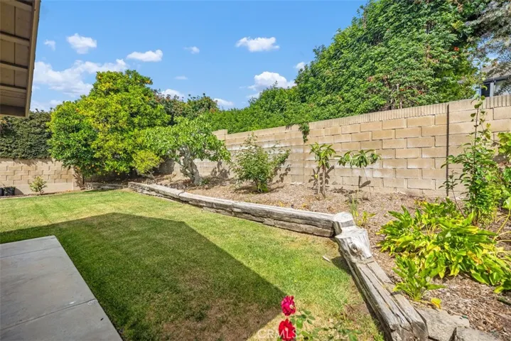 Backyard.