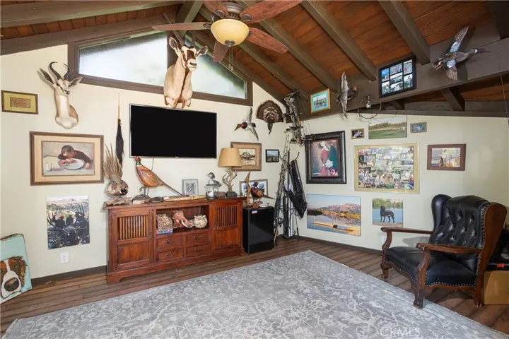 man cave/flex space