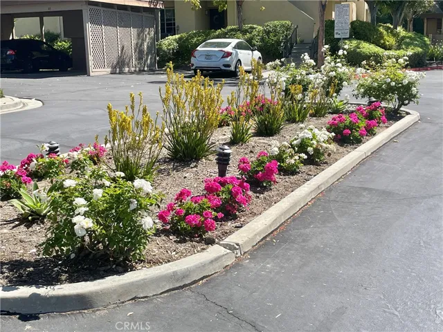 21203 Camelia 34, Lake Forest, California 92630