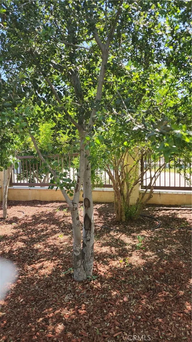 3112 1st Street, Riverside, California 92507 home-pic-22