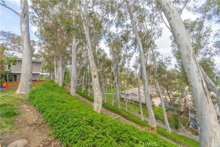6523 E Camino 2, Anaheim, California 92807
