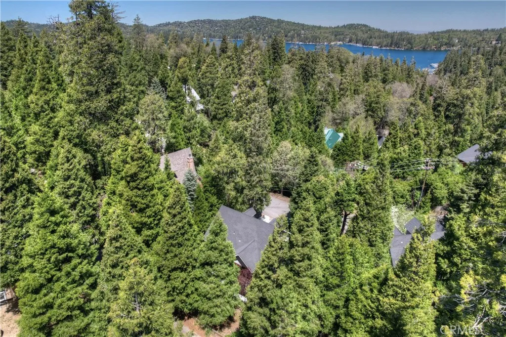 28589 Shenandoah Drive, Lake Arrowhead, California 92352 home-pic-45