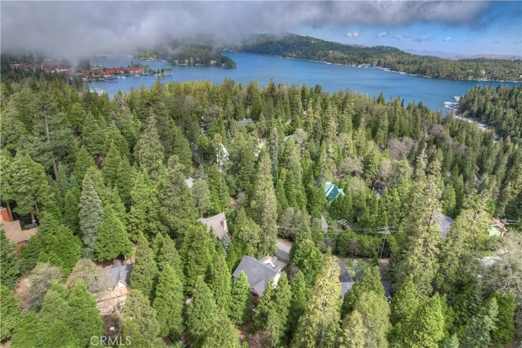 28589 Shenandoah Drive, Lake Arrowhead, California 92352 home-pic-46