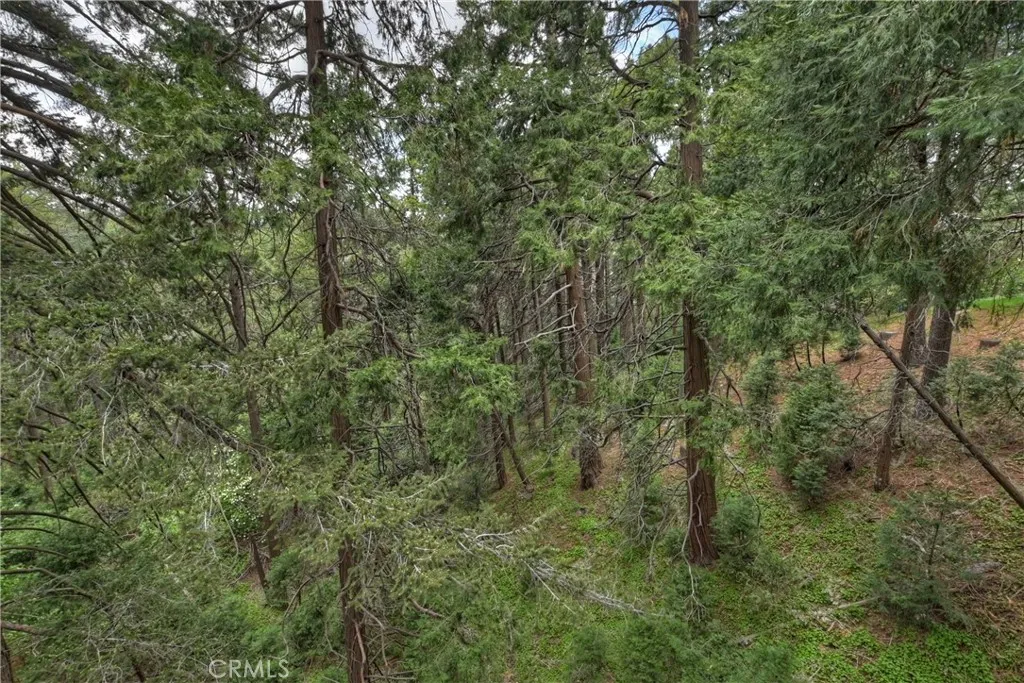 23776 Lakeview Drive, Crestline, California 92325 home-pic-14
