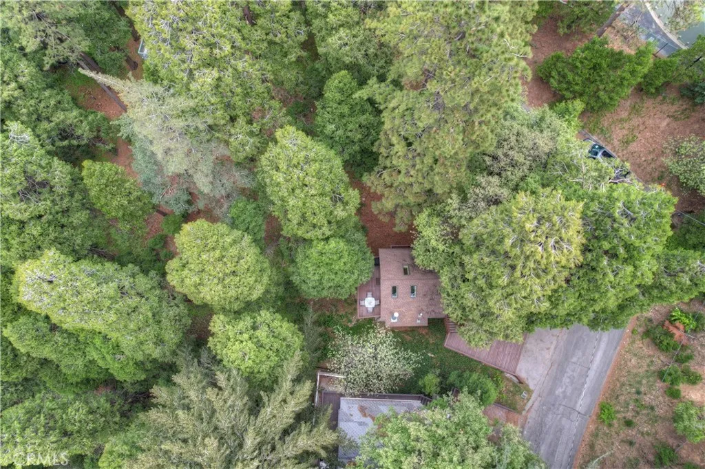 23776 Lakeview Drive, Crestline, California 92325 home-pic-33