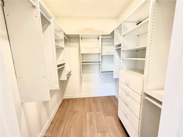 Walk in closet in Primary bedroom in downstairs