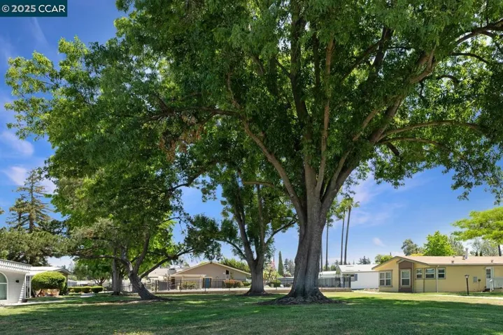 2019 Dalis Drive, Concord, California 94520