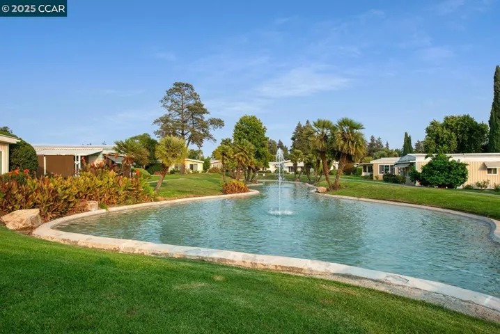 2019 Dalis Drive, Concord, California 94520