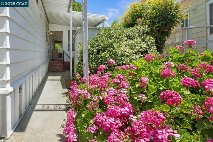 2019 Dalis Drive, Concord, California 94520
