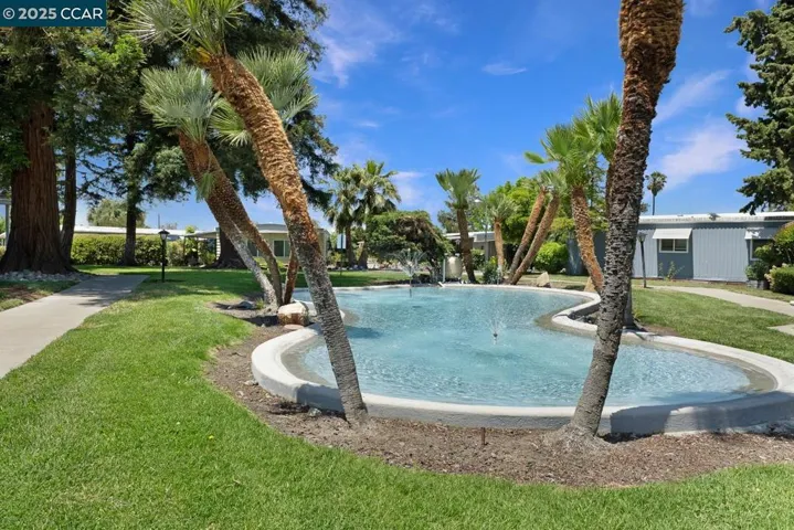 2019 Dalis Drive, Concord, California 94520