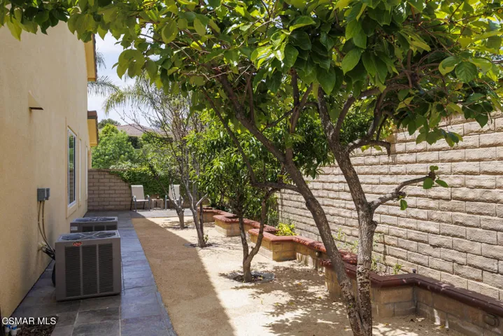 Lots of Fruit Trees!
