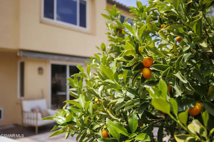 Fruit Trees aplenty!