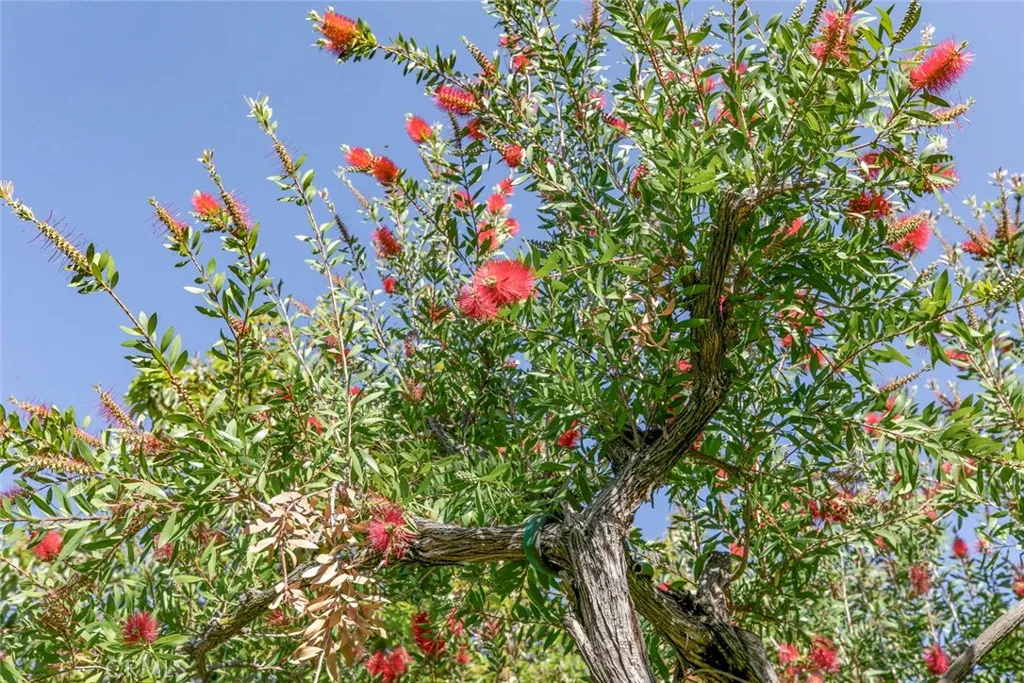 1558 Hillcrest Avenue, Glendale, California 91202 home-pic-62