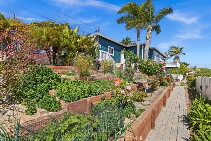 Thriving terraced garden!