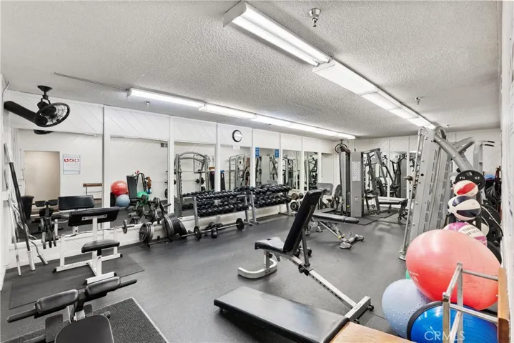 Gym equipment
