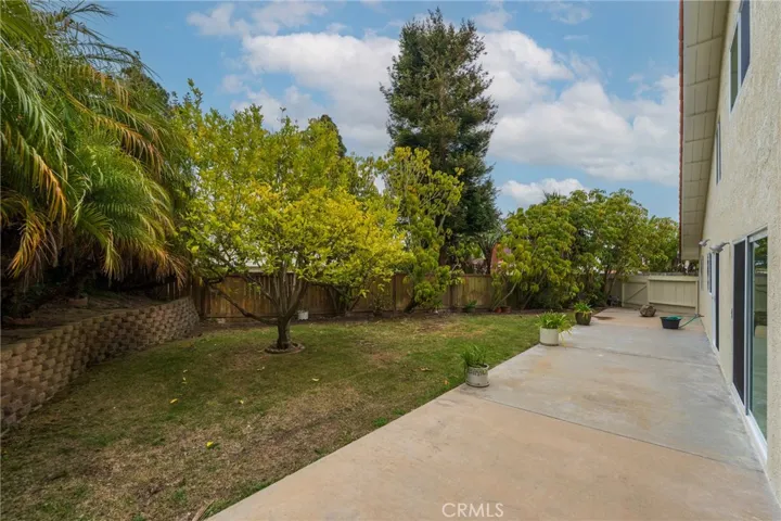 Back yard with lots of trees and privacy