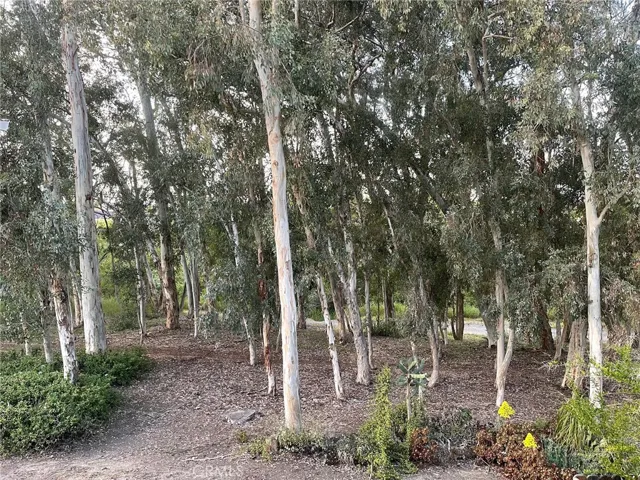 24603 Copper Cliff Court 11, Lake Forest, California 92630