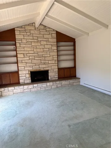 Large Den