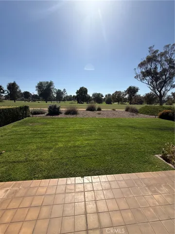 View from the back porch