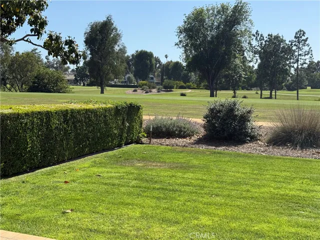 View of back yard and greens