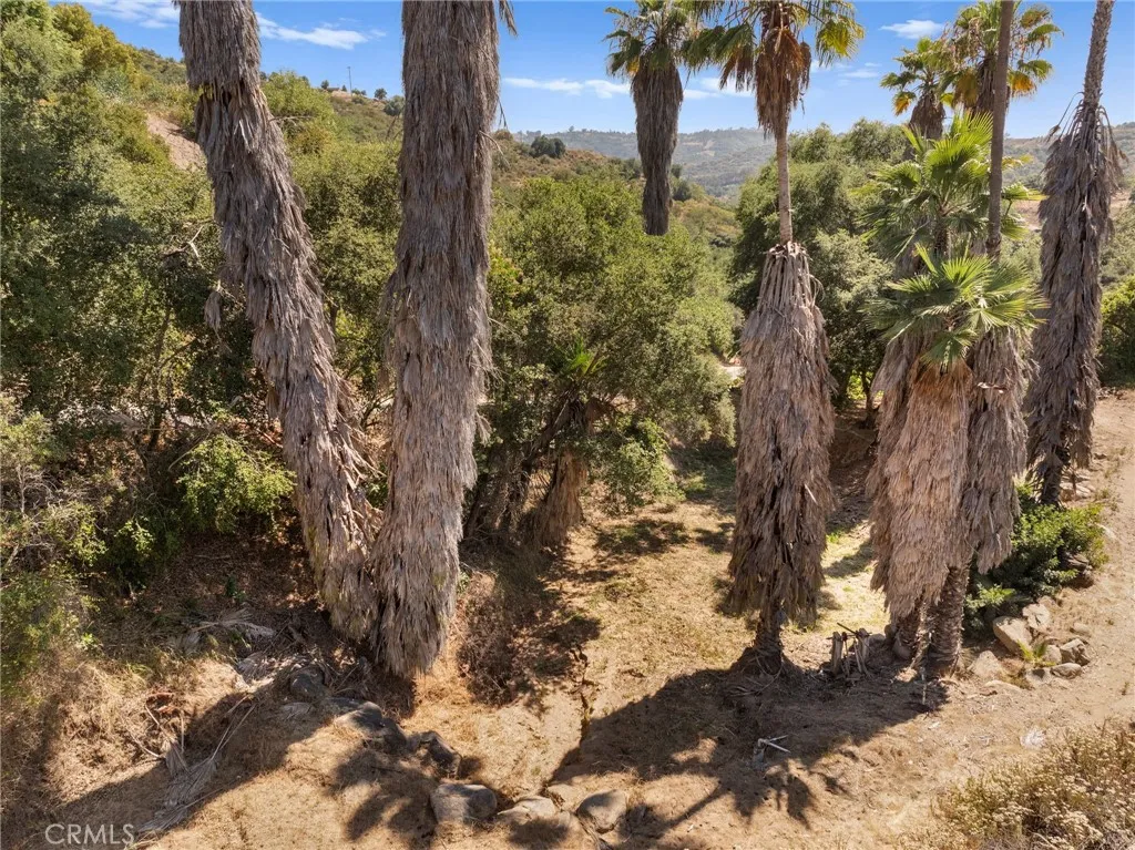 879 Stewart Canyon Road, Fallbrook, California 92028 home-pic-43