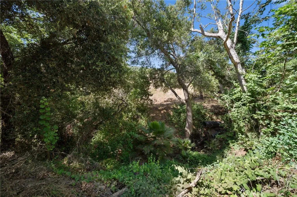 879 Stewart Canyon Road, Fallbrook, California 92028 home-pic-69