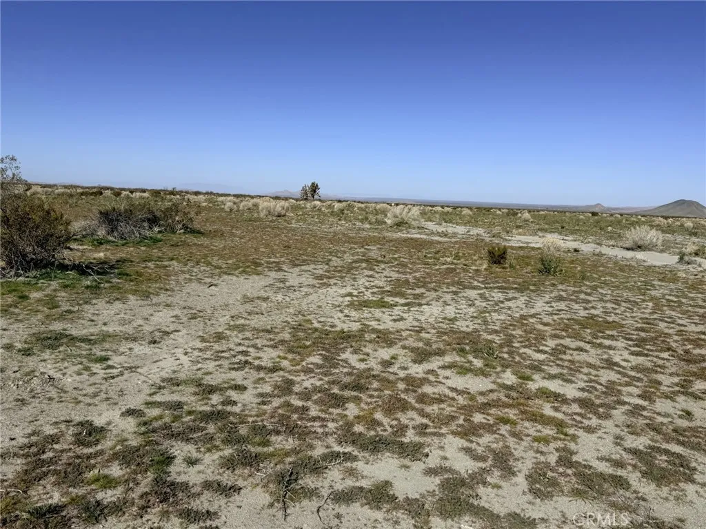 0 Holly St, Phelan, California 92371 — photo 4
